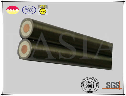 Single Core Heating Element of Mineral Insulated Cable for Industrial Use 협력 업체