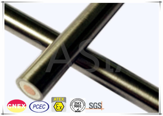 600 Volt Stainless Steel Sheath Mineral Insulated Cable with Single Core 협력 업체
